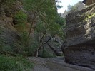 photo thumbnail #8