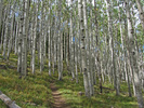 photo thumbnail #4