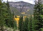 photo thumbnail #7