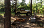 photo thumbnail #1