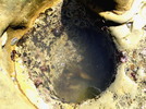 photo thumbnail #8