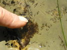 photo thumbnail #11