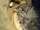 photo thumbnail #12