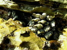 photo thumbnail #13