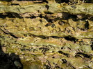 photo thumbnail #15