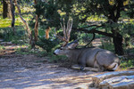 photo thumbnail #7
