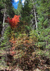 photo thumbnail #15