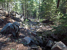 photo thumbnail #2