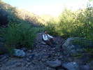 photo thumbnail #1