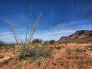 photo thumbnail #10