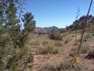 photo thumbnail #10