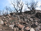 photo thumbnail #14