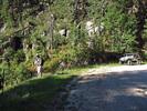 photo thumbnail #1