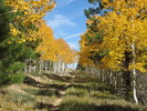 photo thumbnail #8