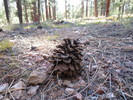 photo thumbnail #6