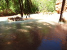 photo thumbnail #15