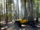 photo thumbnail #2