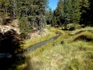 photo thumbnail #14