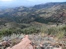 photo thumbnail #2