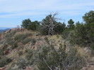photo thumbnail #12