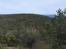 photo thumbnail #13