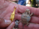 photo thumbnail #2