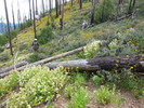 photo thumbnail #3