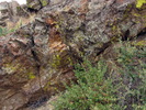 photo thumbnail #12