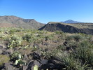photo thumbnail #7