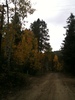 photo thumbnail #1
