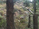 photo thumbnail #12