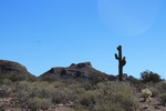 photo thumbnail #5