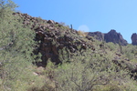 photo thumbnail #12