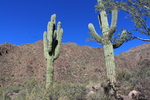 photo thumbnail #15