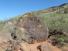 photo thumbnail #3