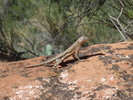photo thumbnail #5