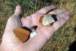 photo thumbnail #2
