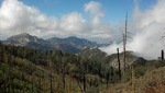 photo thumbnail #15