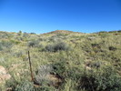 photo thumbnail #13