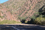 photo thumbnail #5