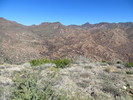 photo thumbnail #4