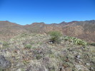 photo thumbnail #11