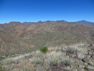 photo thumbnail #8