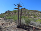 photo thumbnail #13