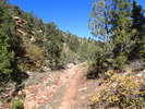 photo thumbnail #8