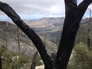 photo thumbnail #7
