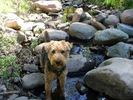 photo thumbnail #3
