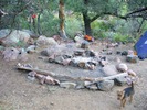 photo thumbnail #5