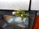 photo thumbnail #5