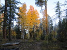 photo thumbnail #2